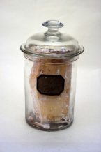 Conserve à cordeline