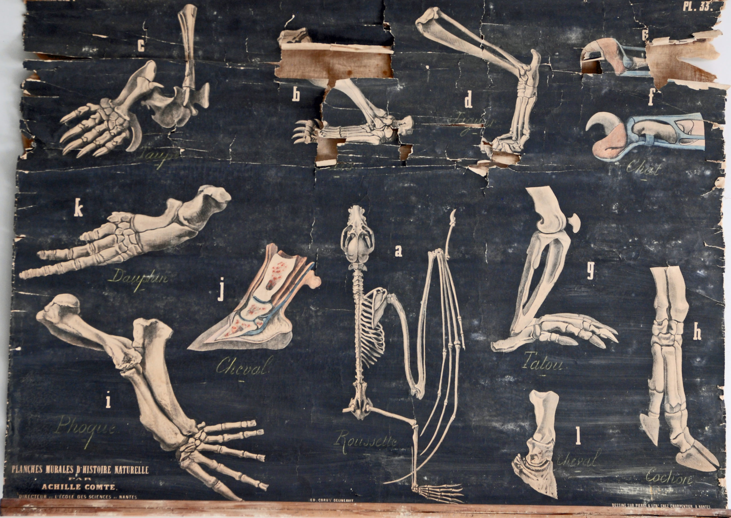 Etat de la planche en 2024