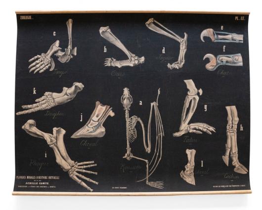 Planche restaurée par l'atelier ars-scriptum de Rennes . La Restauratrice est Evguénia Vosdeski. Planche restaurée à l'initiative de L'amélycor ,coût pour l'association 576 euros