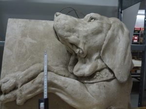 Tête de chien avec les pattes
