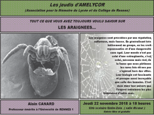 Les araignées