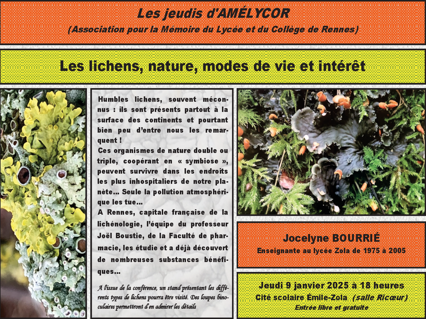 Les lichens, nature, mode de vie et intérêt
